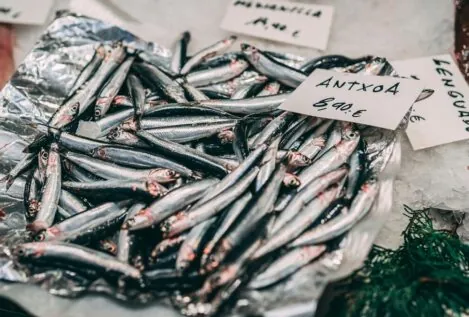 Las mejores recetas con anchoas a un precio 'low cost'