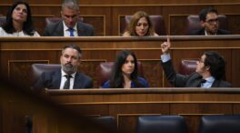 Vox pide debatir en el Congreso la violencia contra la mujer cometida por extranjeros