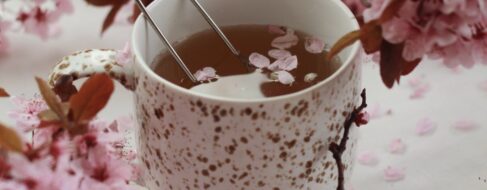 Cola de caballo: propiedades y para qué sirve