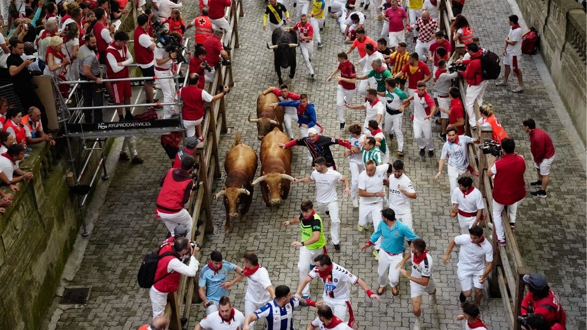 Los toros de Domingo Hernández Martín debutan con la carrera más veloz de este 2024