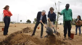 Almeida ha plantado 70.000 árboles más de los que ha talado desde que es alcalde de Madrid