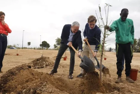 Almeida ha plantado 70.000 árboles más de los que ha talado desde que es alcalde de Madrid