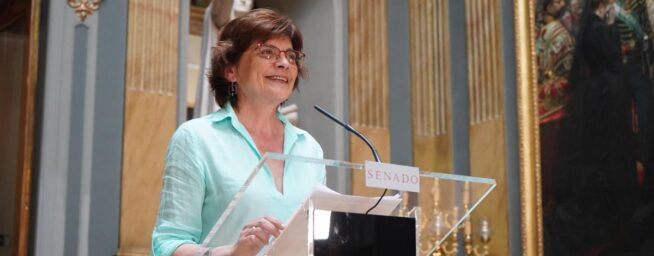 El BNG pide a Óscar Puente no «echar balones» a Talgo y que solucione los problemas de trenes