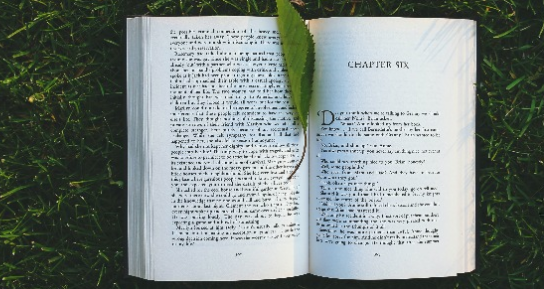 Los 5 libros de empresa imprescindibles para este verano