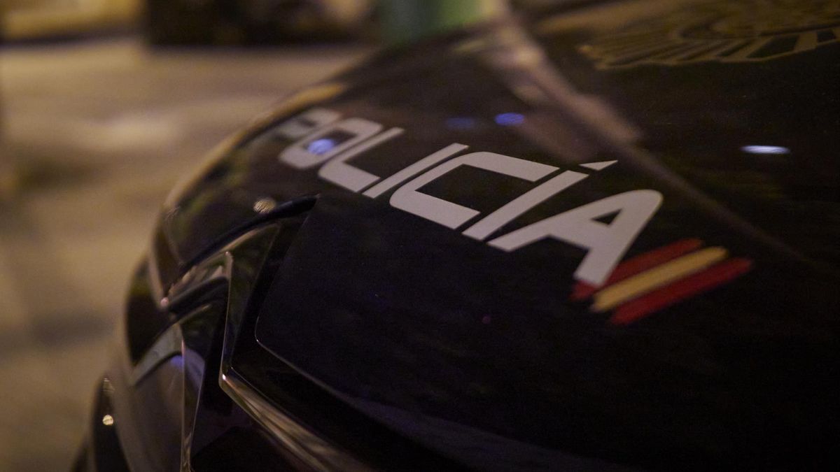 Detenidos cinco jóvenes por una agresión grupal en un local de Elche, difundida en redes