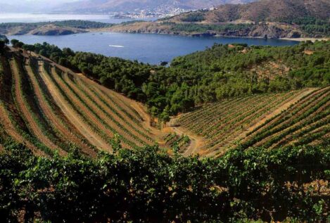 Tres vinos de viñedos con vistas al mar