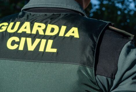 La Guardia Civil detiene a dos personas e incauta 467 plantas de marihuana en Toledo