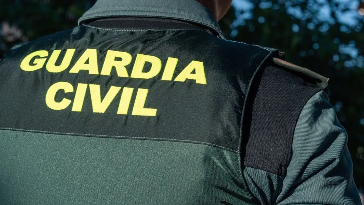 La Guardia Civil detiene a dos personas e incauta 467 plantas de marihuana en Toledo