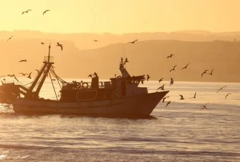 Europa propone aumentar la pesca del arenque en el Báltico y reducir la del salmón y bacalao