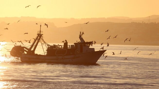 Europa propone aumentar la pesca del arenque en el Báltico y reducir la del salmón y bacalao