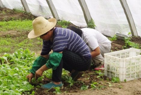 El absentismo laboral se dispara en España y cuesta a las empresas 12.245 millones de euros