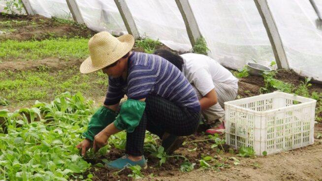 El absentismo laboral se dispara en España y cuesta a las empresas 12.245 millones de euros