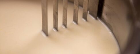 Una base de datos revela qué hay en el microbioma de los alimentos que comemos