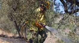 Controlado el incendio forestal en la zona de Peña Escrita, en Almuñécar (Granada)