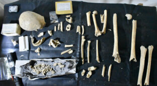 Pruebas de ADN identifican al obispo Teodomiro, fundador del Camino de Santiago