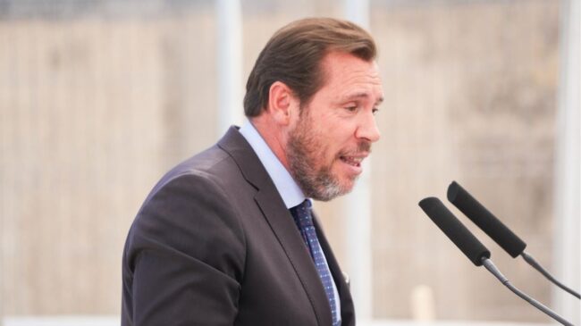 Puente defiende su «libertad de expresión» para opinar del Supremo por la ley de amnistía