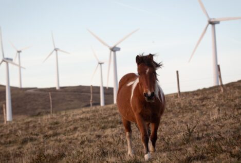 El Gobierno pretende construir en Teruel el mayor parque eólico de España