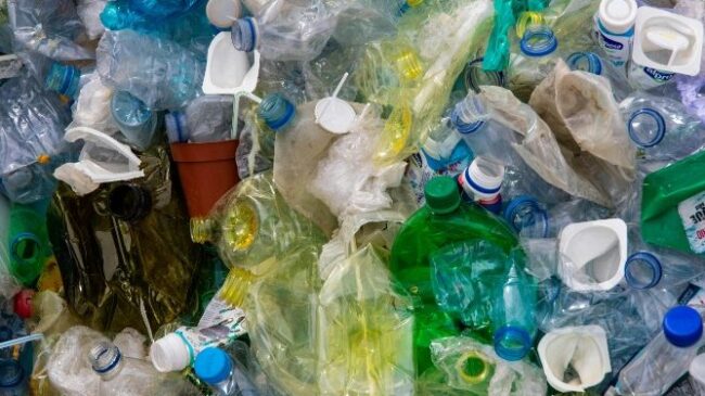 Las olas de calor extremas aumentan el desperdicio de alimentos