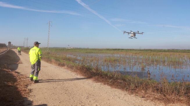 El virus del Nilo se extiende por Europa y ya son 13 los países afectados