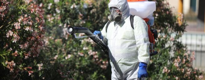 Los municipios afectados por el virus del Nilo piden tratarlo como «amenaza de epidemia»