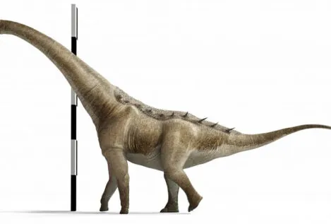 Hallan en Cuenca una nueva especie de dinosaurio gigante