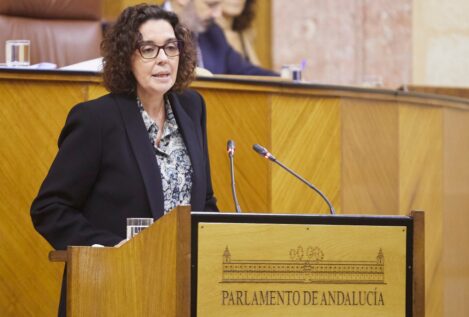 El PSOE andaluz avisa que la vuelta al cole arranca «con problemas» por los recortes