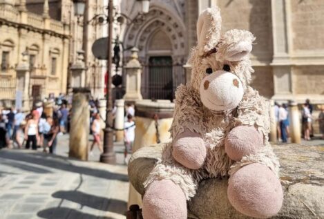 Una alemana ofrece 1.000 euros por su 'burrito' de peluche perdido en Sevilla