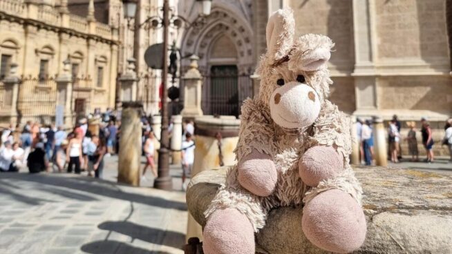 Una alemana ofrece 1.000 euros por su 'burrito' de peluche perdido en Sevilla