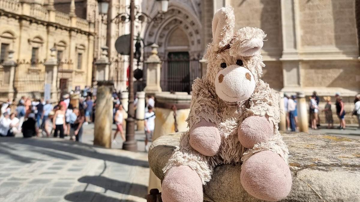 Una alemana ofrece 1.000 euros por su ‘burrito’ de peluche perdido en Sevilla