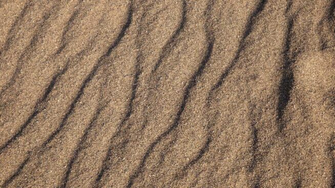 ¿Qué te puedes encontrar debajo de la arena de la playa?