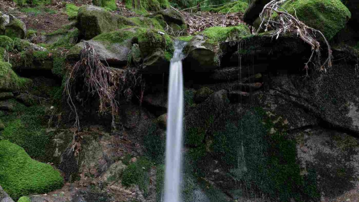 Asturias financia con 427.000 euros la recuperación de la cuenca del río Güeña