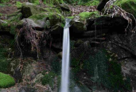 Asturias financia con 427.000 euros la recuperación de la cuenca del río Güeña