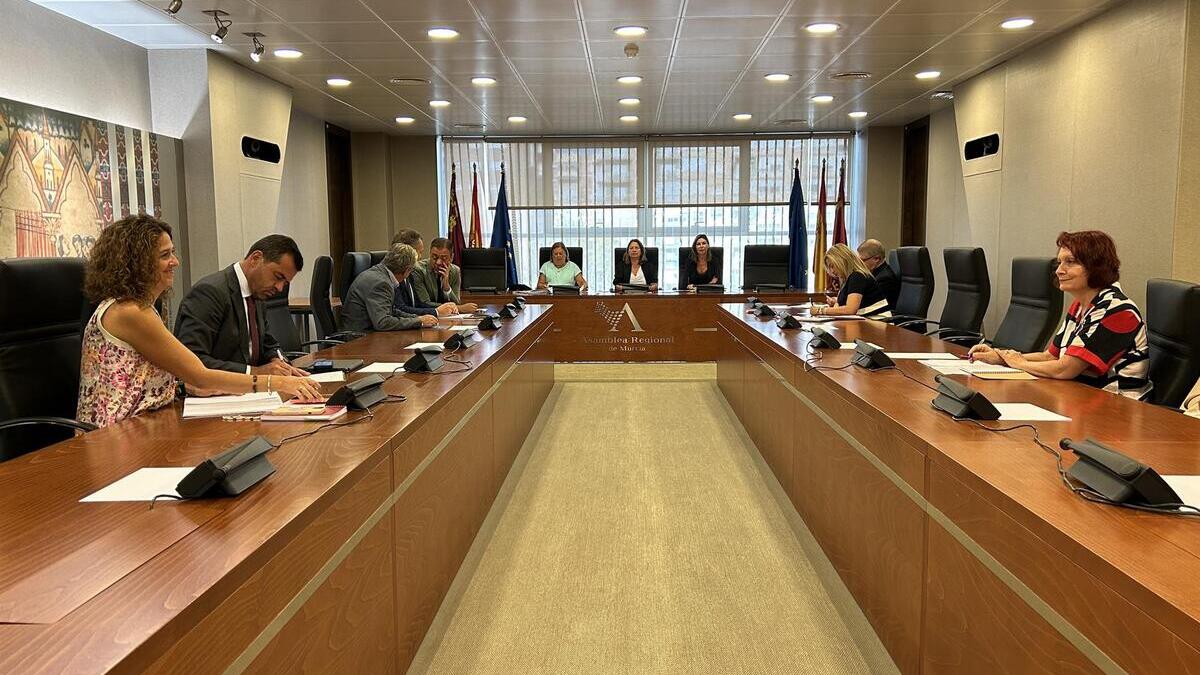 La Asamblea de Murcia retoma la actividad con las comparecencias sobre la ley del Mar Menor