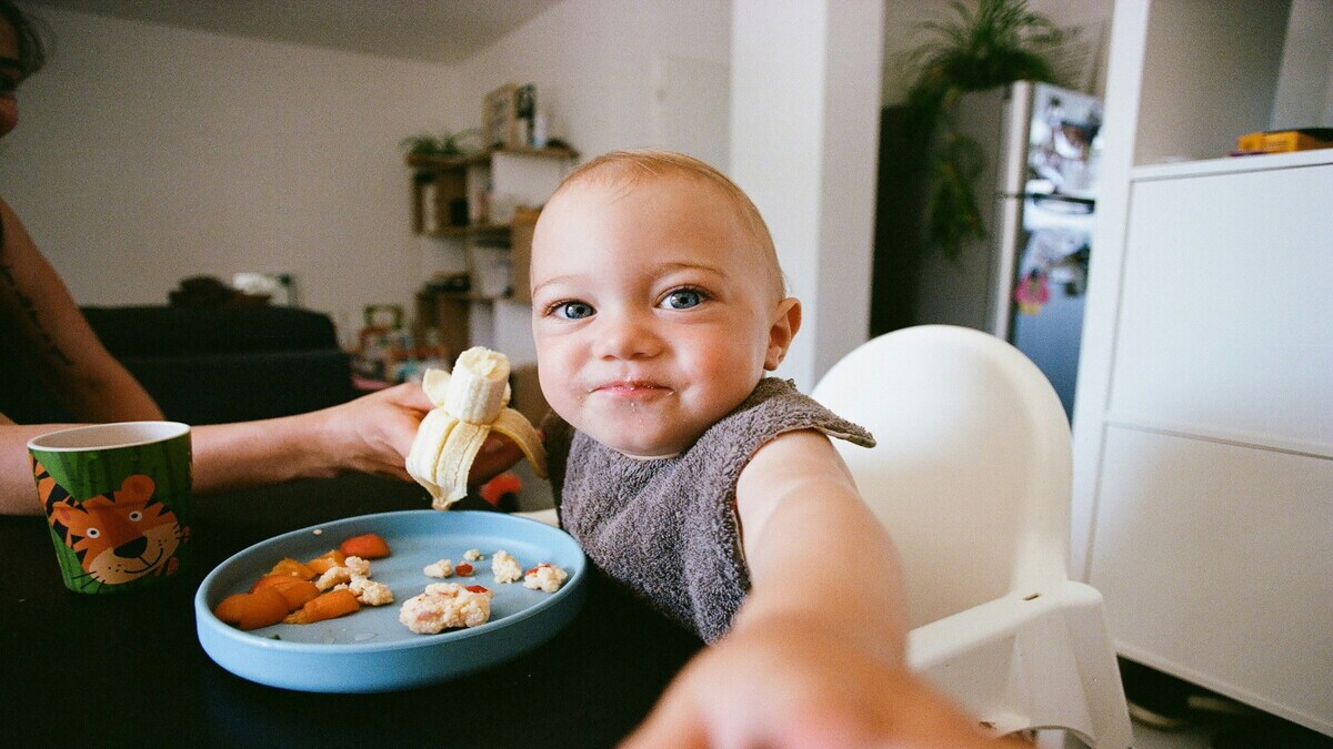 Descubre el Baby Led Weaning y ponlo en práctica con tu bebé con sus mejores recetas