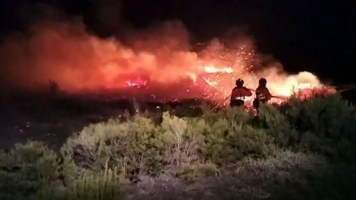 Miteco desplaza efectivos aéreos y terrestres para hacer frente al incendio de Brañuela (León)