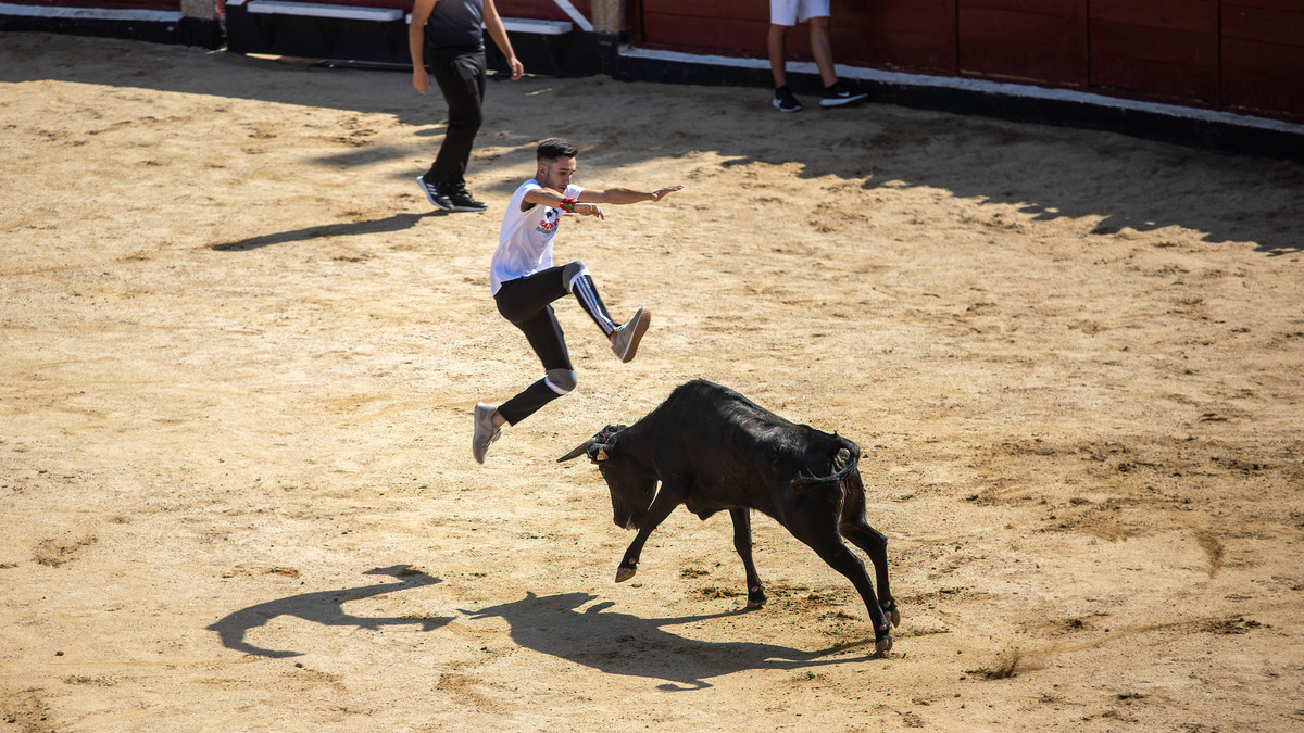 Zaragoza suprime las trabas para la celebración de festejos taurinos en las calles