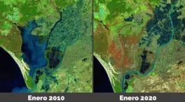 Un estudio revela que el cambio climático podría hacer desaparecer las marismas de Doñana