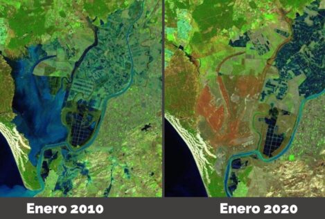 Un estudio revela que el cambio climático podría hacer desaparecer las marismas de Doñana