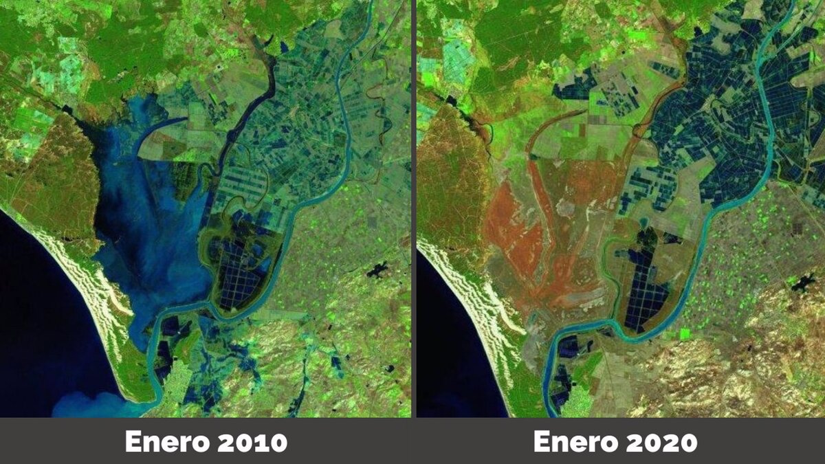 Un estudio revela que el cambio climático podría hacer desaparecer las marismas de Doñana