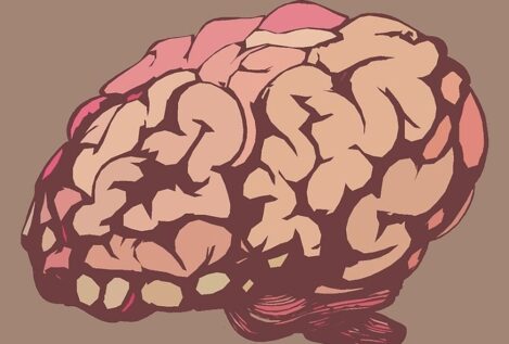 El estudio que revela donde reside el amor en el cerebro, ¿cómo se activa?