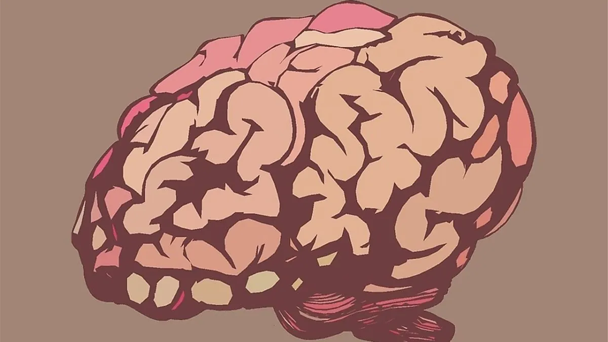 El estudio que revela donde reside el amor en el cerebro, ¿cómo se activa?