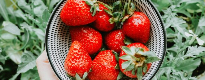 Estos son los cinco alimentos que retrasan el envejecimiento, según la ciencia