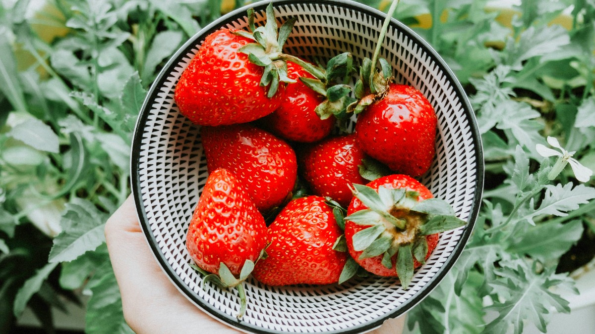 Estos son los cinco alimentos que retrasan el envejecimiento, según la ciencia