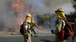 Galicia lucha contra cuatro incendios forestales activos que arrasan más de 300 hectáreas