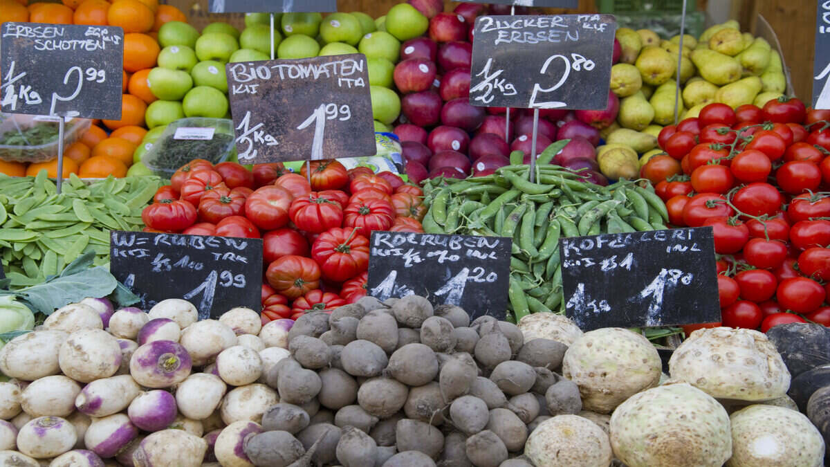 Avances en la industria agrícola: desarrollan un gel ecológico para conservar la fruta