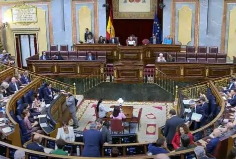 El Congreso reconoce la victoria de Edmundo González en Venezuela pese al 'no' del PSOE