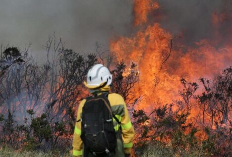 Un incendio forestal quema 30 hectáreas en Carballedo y San Cristovo de Cea, en Orense