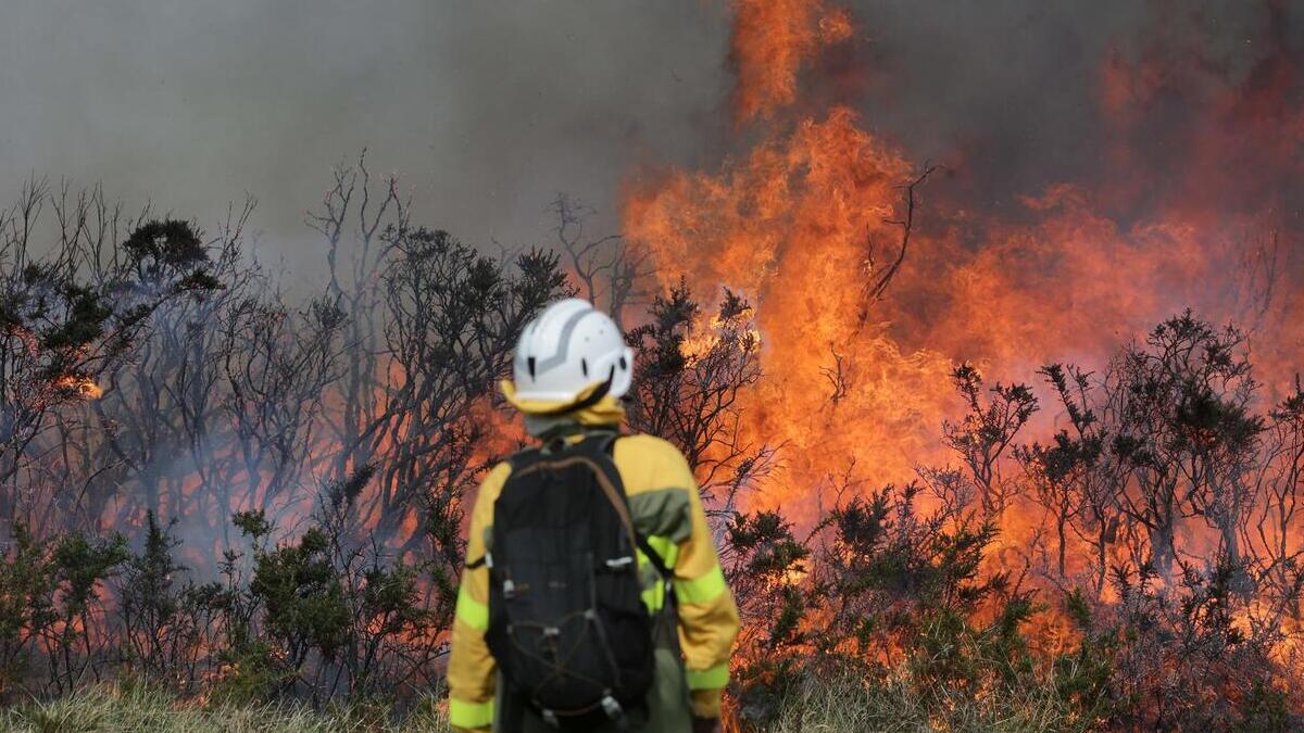 Un incendio forestal quema 30 hectáreas en Carballedo y San Cristovo de Cea, en Orense