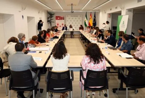 La Junta de Andalucía aboga por la financiación integral para mejorar el sistema de dependencia