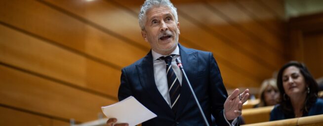 Un ex alto cargo de Marlaska reclamó a la trama Koldo «ayuda» para el doctor Palomo